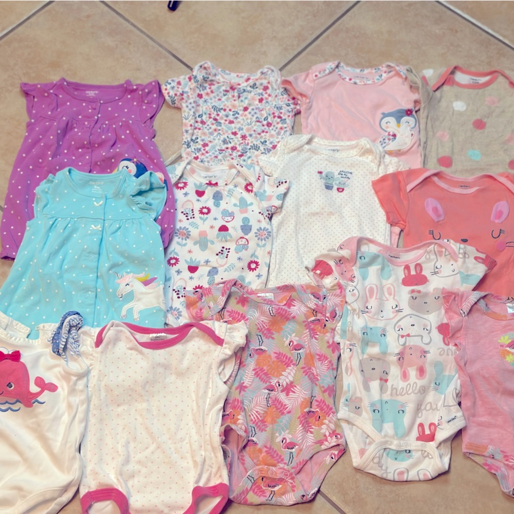 Baby Girl 6-9 Month Onesie Bundle